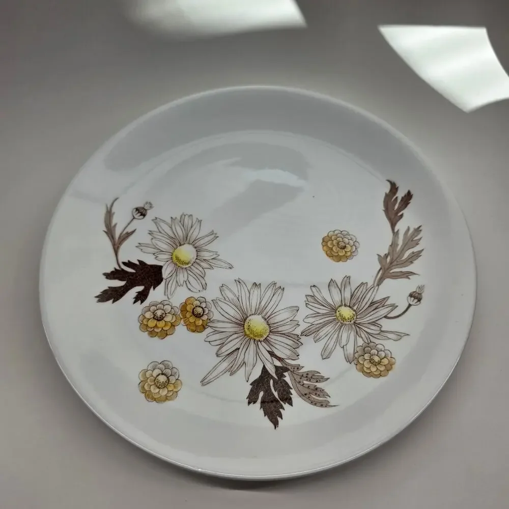 Johnson Bros Daisies Won't Tell Ironstone Dinner Plates 10